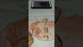 Bapu Drawing #shorts #drawing