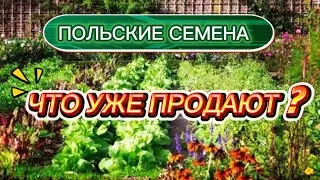 ✅❤️🪴Какие семена продаются в Польше? Обзор , цены . 