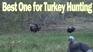 【Camojojo】The Ultimate Guide to Selecting the Best Turkey Gun