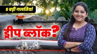 drip बार-बार चोक क्यों होती है?  क्या है सही Pressure, Filter और Acid Treatment #dripirrigation