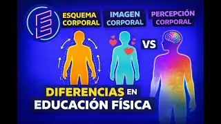 Esquema corporal, imagen corporal y percepción corporal | Diferencias clave en Educación Física