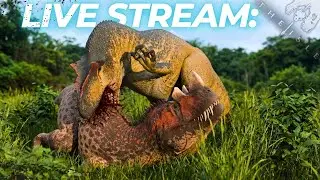 Allo Gaming On BTTR Better Offficial with all of you guys!