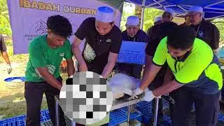 (8 nama) IBADAH QURBAN 2025 di Masjid Sheikh Nur Mohd Ridza Mohd Ali bersama Md Akbar Goat Farm