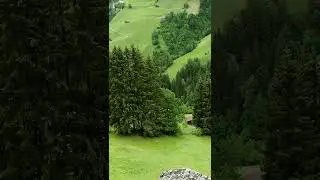 #greenmeadows #highmountains #austria