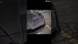 Sophie rain or the car? Choose