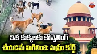 ఇక కుక్కలకు కౌన్సెలింగ్ చేయడమే | Supreme Court on Animal Birth Control Rules and Public Safety | ABN