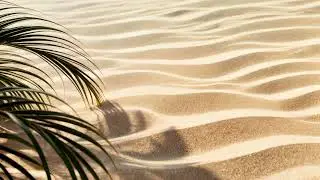 4K Free Stock Footage: Gentle Palm Shadows Over Sunlit Sand Ripples