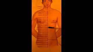 Conception Vessel (Meridian Chart) - Acupuncture