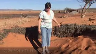 Op pad met Afrikaans - Huisie op die vlak