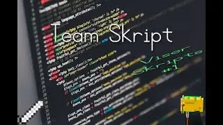 Viser Skripts #1: Team Skript