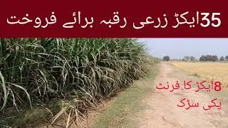 35 acres of agricultural land; front 8 acres for sale#.