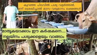 Diary Farming Kerala|ഒരു അടിപൊളി  പശു വളർത്തൽ മാതൃക | Diary farm Malayalam |cattle farm