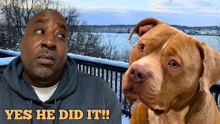 See Flex's Over-The-Top Reaction to Snow