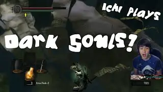 Dark Souls - GLITCH highlight of WHAT THE...?