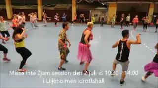 Zumba party sommar - MC med Diego Chauca och Robert Birchbauer