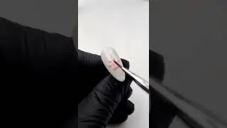 Идеи нейл-арта 💅 Лапки / Идеи дизайна ногтей #шорты #маникюр #ногти