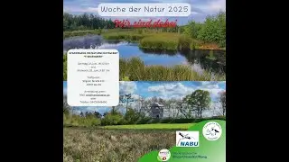 Woche der Natur - Theikenmeer - 22.06.2025 - Exkursion mit Profis