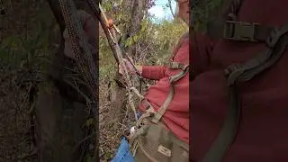 First time in a SADDLE (tethrd Lockdown)(predator xl platform)#tethrdnation #saddlehunting #deer