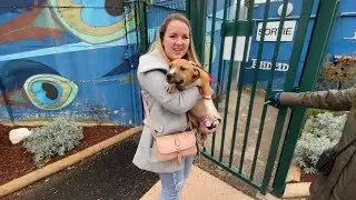 ON A ENFIN ADOPTÉ NOTRE BÉBÉ CHIEN A LA S.P.A !! 😍