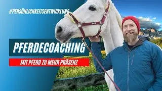 Coaching mit Pferden 🐎 - Pferdegestützte Persönlichkeitsentwicklung | Mehr Präsenz ausstrahlen