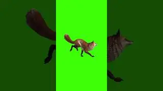 3D Animated Animals Running Green Screen For Editing For Free
