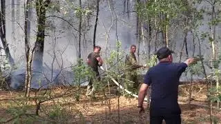 На Чернігівщині вогнеборці локалізували загорання лісової підстилки поблизу смт Гончарівське