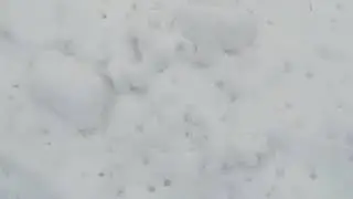 Snow Transition