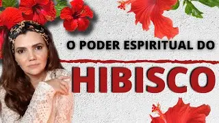 Conheça o HIBISCO uma das ervas mais PODEROSAS que existem - Chá de Hibisco.