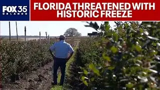 Historic freeze threatens Florida crops and gardens