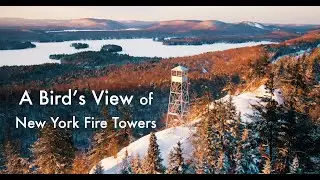 A Bird's View of New York Fire Towers