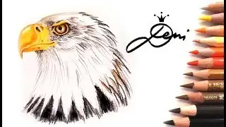 Adler zeichnen 🦅 Weißkopfseeadler malen 🦅 How to draw an American Bald Eagle 🦅 как се рисува орел
