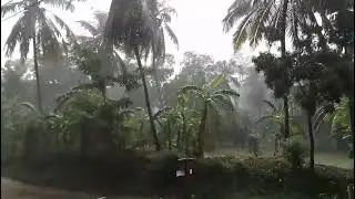 rainandthunder SIROO LK