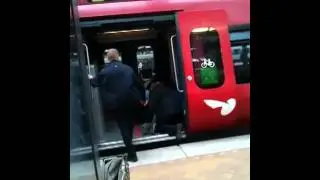 idiot bliver anholdt i s-toget