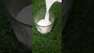 #buttermilk #more #summerdrink #best drink #goodhealthtime #satisfyingvideo #shortsfeed #viral 😃