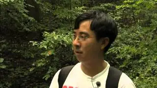 Herping - Hunting for Reptiles and Amphibians