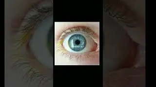Kyuubi sage mode , sharingan and Mangekeyou Sharingan and Jōgan eye transformation