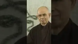Transform Your Pain | Thich Nhat Hanh | #shorts