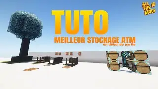 BEST EARLY GAME STORAGE All The Mods 10