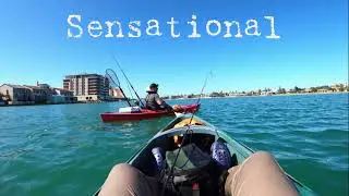 Welcome to Outdoors South Oz