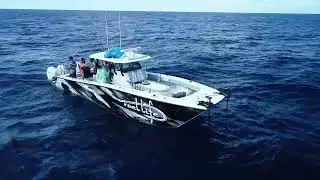 Twin Rhodan motors on Gillz 37' Freeman