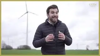 Why Germany's clean energy drive is endangering wildlife