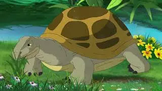 The Forest Race  Turtle vs Rabbit( Turtle and Rabbit race STORY)