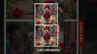 Train Your Vision, Find The Differences In These Mind-Boggling Puzzles!