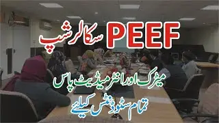 PEEF Scholarship 2024 -How to Apply for Peef Scholarship 2024-Peef Scholarship form-PEF Scholarship