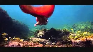 Narsilion- El llanto de las sirenas