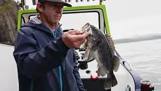 Sea Bliss Dory Charter- Fishing and Crabbing in Pacific City, Oregon