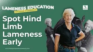 Spot Hind Limb Lameness Early: Visual and Auditory Clues