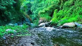 Quiet River Flow ASMR &ndash; For Focus, Therapy & Relaxation