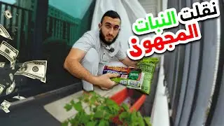 دفعت مبلغ كبير للجامعة