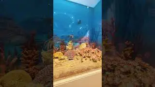 Beijing Museums&mdash;Natural History Museum of China